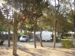 Pitch - Pitch Plus (1 Car   1 Caravan/Tent/Motorhome   Electricity+ Water) - Camping Vilanova Park