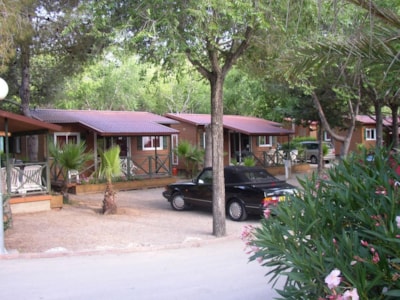 Offer Seniors 2 people 55+ years old Mobilhome S-050 / Country Lodge S-700 / Xalet Excel S-800 — 8