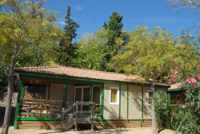 Offer Seniors 2 people 55+ years old Mobilhome S-050 / Country Lodge S-700 / Xalet Excel S-800 — 3