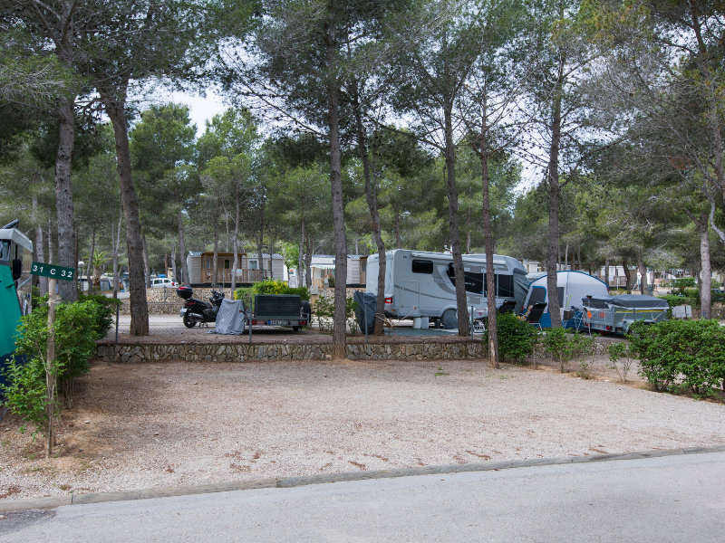 Emplacement - Emplacement Standard  70/100M²(2P + 1 Voiture + 1 Caravane/Tente/Camping-Car +  Électricité 6A) - Camping Vilanova Park