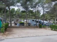 Emplacement Standard  70/100M²(2P + 1 Voiture + 1 Caravane/Tente/Camping-Car +  Électricité 6A)