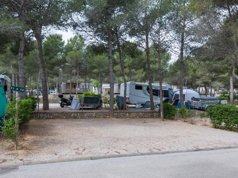 Emplacement Standard  70/100M²(2P + 1 Voiture + 1 Caravane/Tente/Camping-Car +  Électricité 6A)