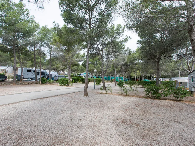 Emplacement Standard  70/100M²(2P + 1 Voiture + 1 Caravane/Tente/Camping-Car +  Électricité 6A)