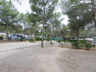 Pitch Standard 70/100m² (2p + 1 car +  1 caravan/tent/motorhome +  electricity 6A) — 2