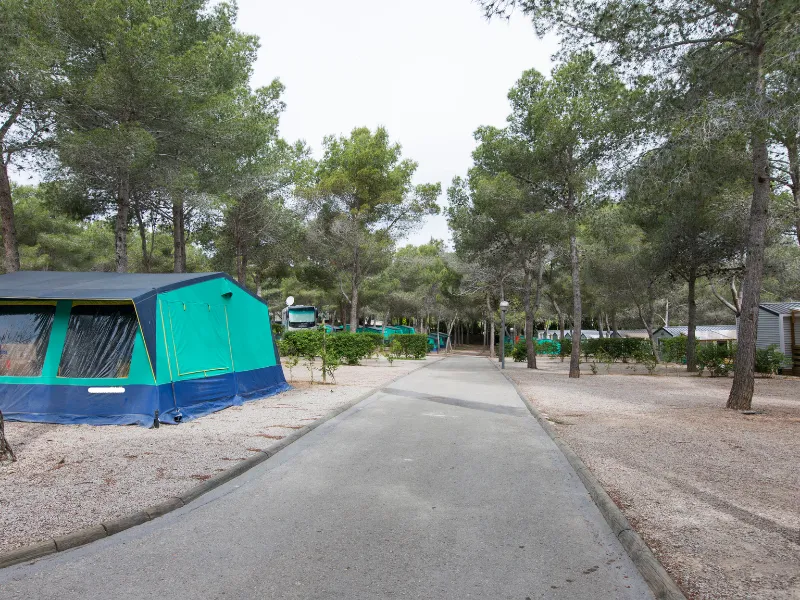 Emplacement Standard  70/100M²(2P + 1 Voiture + 1 Caravane/Tente/Camping-Car +  Électricité 6A)