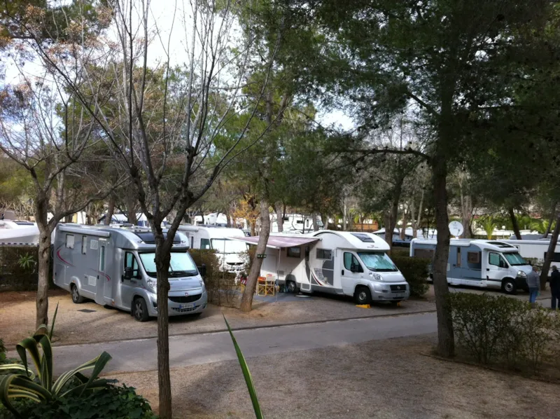 Emplacement  Plus (1 Voiture   1 Caravane/Tente/Camping-Car   Électricité +Eau)