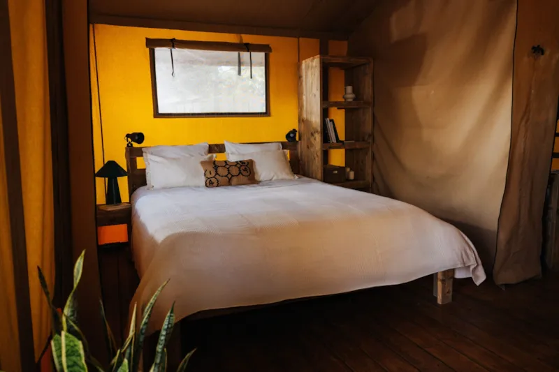 Baobab Tent (By Vilanova Park)