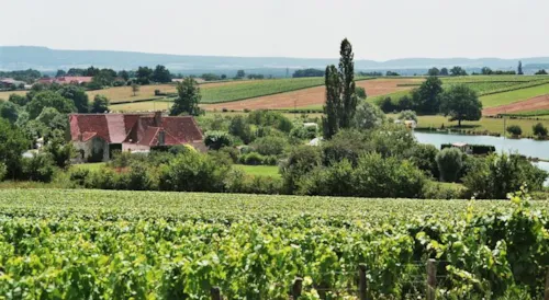 CAMPING MOULIN DE COLLONGE