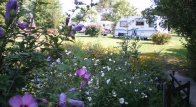 CAMPING SITE FOR PEDESTRIANS OR CYCLISTS