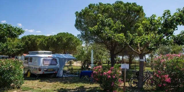 Koawa Camping Beau Rivage - image n°9 - Camping Direct