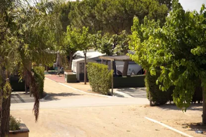 Piazzola (Auto + Tenda/Roulotte + Elettricità 5A + Acqua)