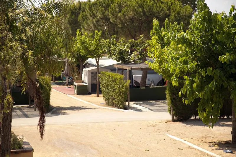 Emplacement (Voiture + Tente/Caravane + Électricité 5A + Eau)