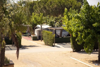 PITCH (car + tent/caravan + 5A electricity + water) — 1