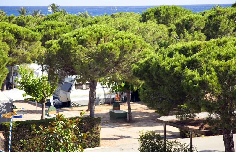 Emplacement (Voiture + Tente/Caravane + Électricité 5A + Eau)