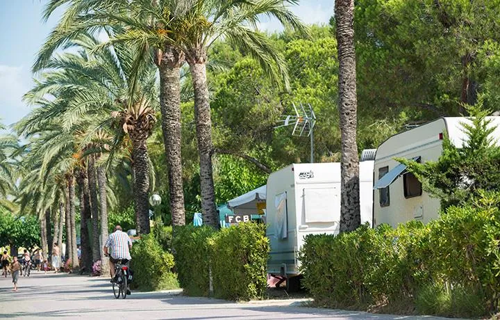Emplacement (Voiture + Tente/Caravane + Électricité 5A)