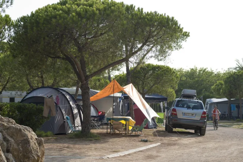 Emplacement (Voiture + Tente/Caravane + Électricité 5A)