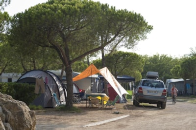 PITCH (car + tent/caravan + 5A electricity) — 4