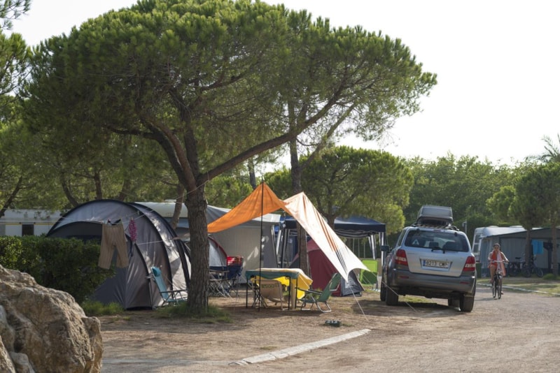 Stel Camping & Bungalows Resort - Photo 3