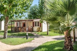 Location - Mobil-Home + Voiture - Stel Camping & Bungalow Resort