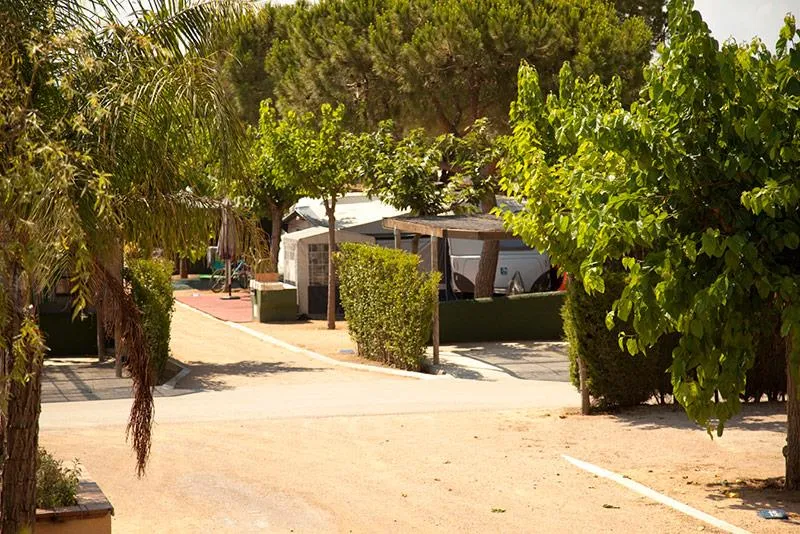 Emplacement (Voiture + Tente/Caravane + Électricité 5A)