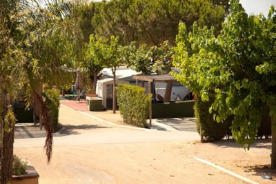 PITCH (car + tent/caravan + 5A electricity) — 8