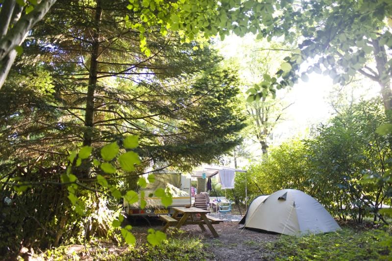 Campingstellplatz Comfort