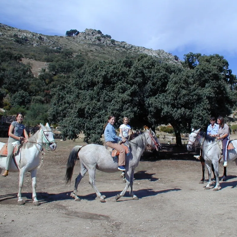 Camping Algámitas Aventura