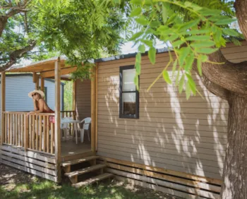 Mietunterkunft - Mobilheim Créole 32 M² - 3 Zimmer - 2 Schlafzimmer - Klimaanlage - International Village Sport & Spa