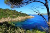 Foto #22 van Résidence de Vacances LA GABINIERE