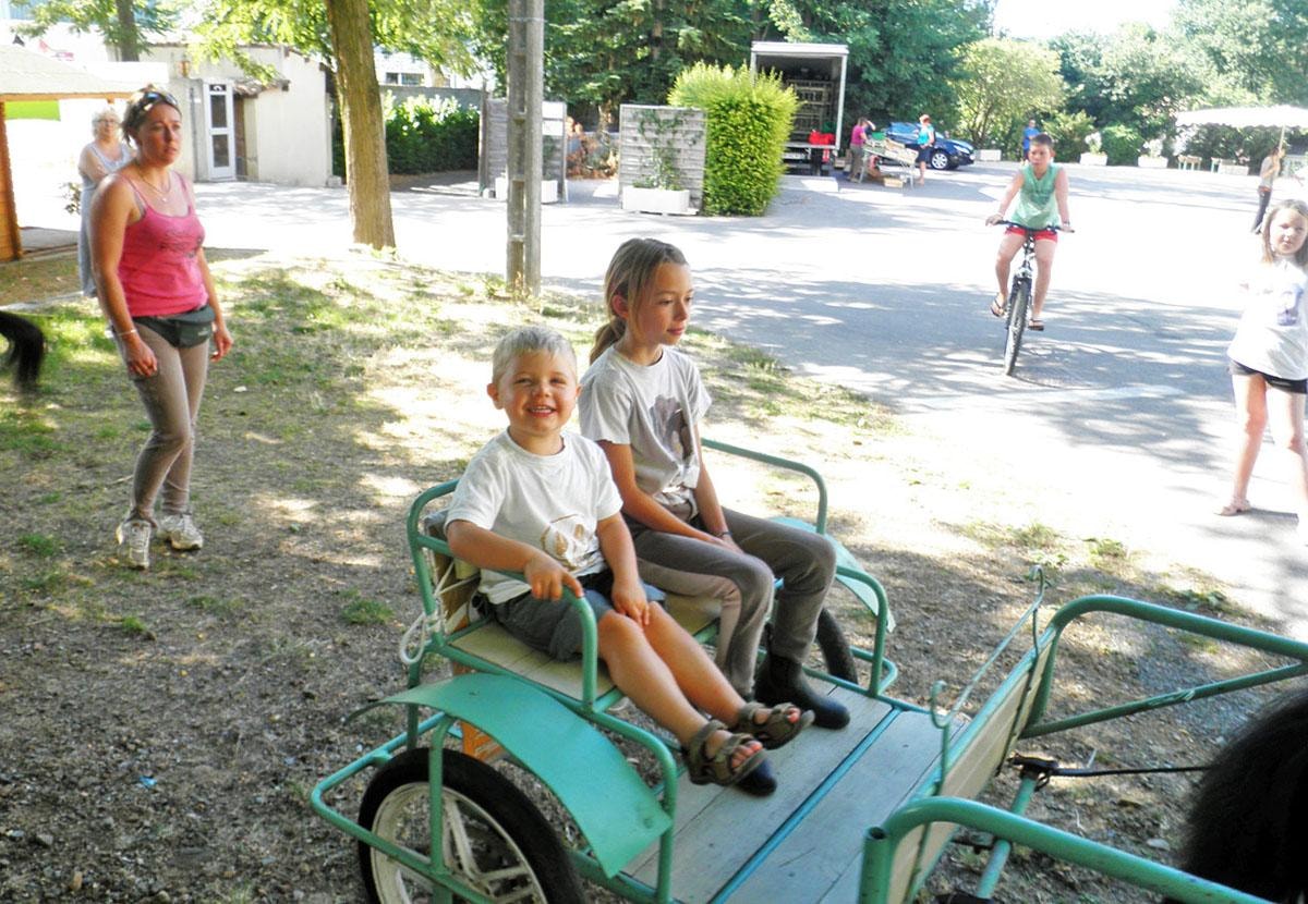 Flower CAMPING LES FAUVETTES — Photo 4