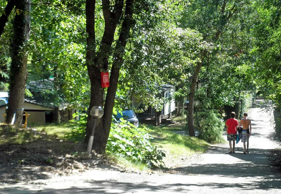 Flower CAMPING LES FAUVETTES