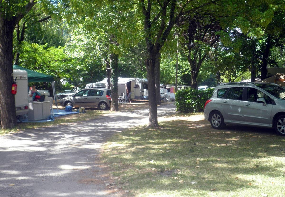 Flower CAMPING LES FAUVETTES — Photo 5