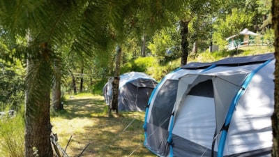 Ready To Camp : real tent equipped with fridge and electricity — 5
