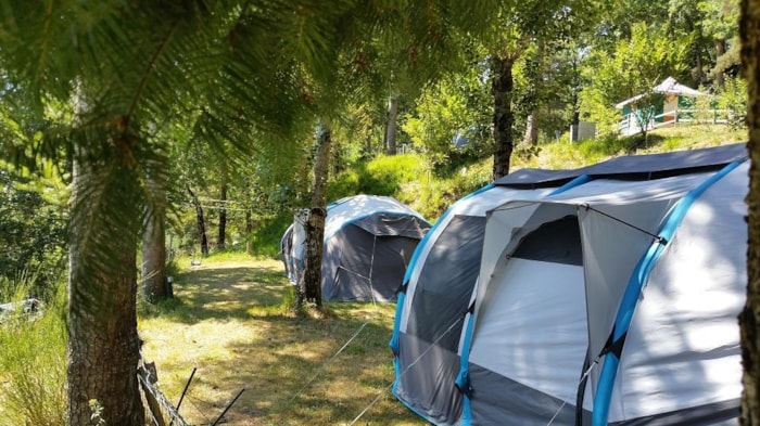 Ready To Camp : Véritable Tente Équipée, Avec Frigo Et Electricité