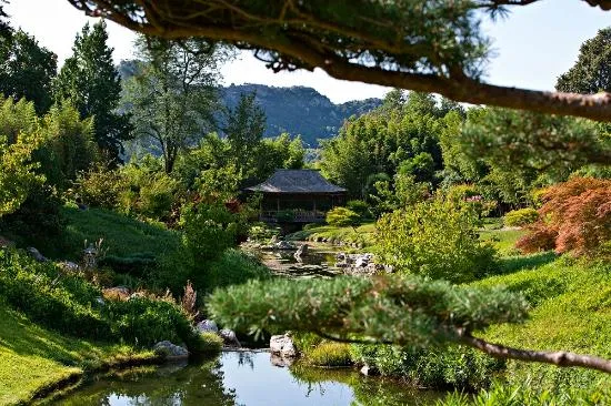 Location  4 Pers Ascension 3 Nuits Avec Lits Faits Et Linge De Toilette Et Entrées Bambouseraie