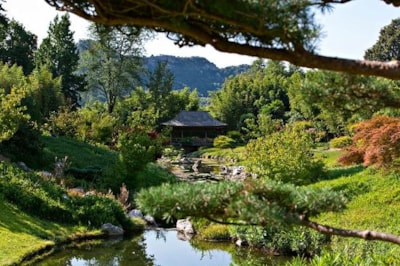 Rental 4 pers ASCENSION 3 NIGHTS with made beds and towels and entrances Bambouseraie — 2