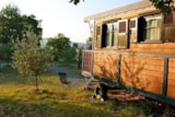 Foto #2 van Roulottes et Cabanes de Saint Cerice