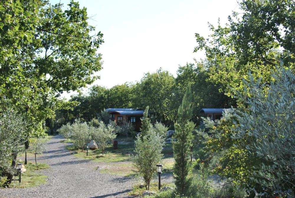 Roulottes et Cabanes de Saint Cerice - image n°72 - Ardeche