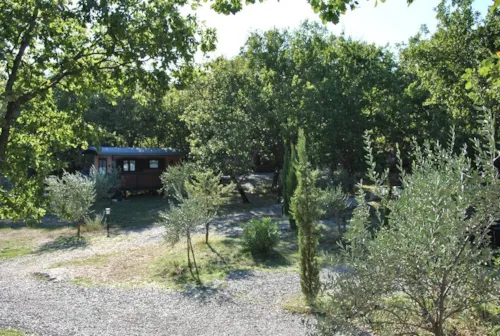 Location - Roulotte (Séjour Famille) Climatisée / Kit Petit Déjeuner 1Er Matin / 5 Pers Inclus / Spa En Option - image n°6 - Roulottes et Cabanes de Saint Cerice