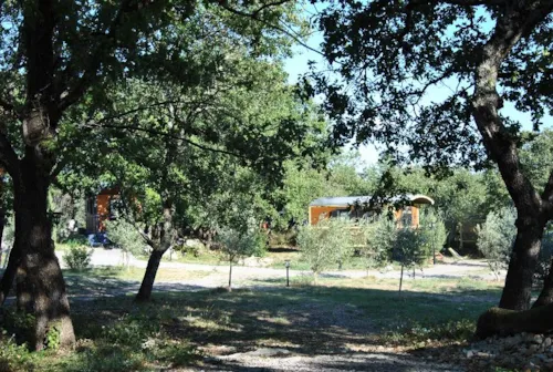 Location - Roulotte (Séjour Famille) Climatisée / Kit Petit Déjeuner 1Er Matin / 5 Pers Inclus / Spa En Option - image n°8 - Roulottes et Cabanes de Saint Cerice