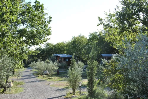 Location - Roulotte (Séjour Nuit D'amour )  Climatisée / Spa Privatif Et Ambiance Romantique / 2 Pers Inclus - image n°4 - Roulottes et Cabanes de Saint Cerice
