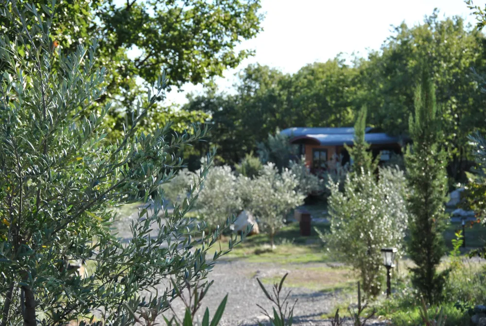 Roulottes et Cabanes de Saint Cerice - image n°75 - Ardeche