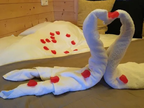 Mietunterkunft - Nid D'amour   Und Spa - image n°4 - Roulottes et Cabanes de Saint Cerice