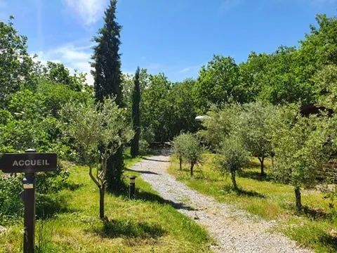 Location - Roulotte Hôtelière Climatisée / Avec Petit Déjeuner / 2 Pers Inclus / Spa Privatif En Option - image n°6 - Roulottes et Cabanes de Saint Cerice
