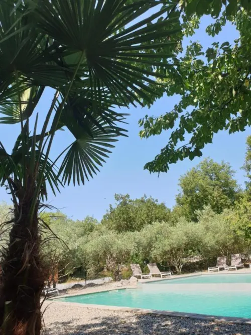 Location - Roulotte Hôtelière Climatisée / Avec Petit Déjeuner / 2 Pers Inclus / Spa Privatif En Option - image n°8 - Roulottes et Cabanes de Saint Cerice