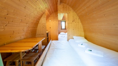 Forest cabin