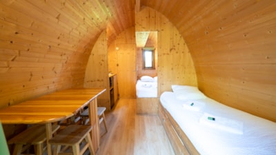 Forest cabin