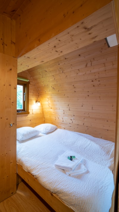 Forest cabin