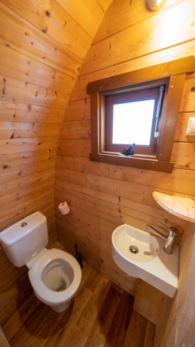 Forest cabin