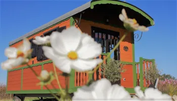 Accommodation - Nuit En Roulotte. Formule B&B,Petits Déjeuners Inclus. - Domaine des Cadets de Gascogne